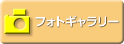 フォトギャラリー